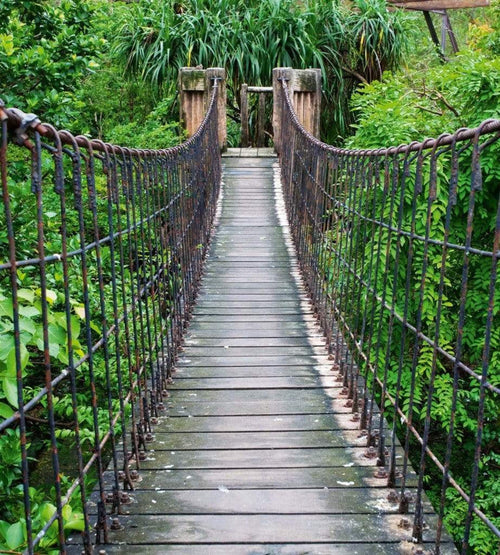 Dimex Footbridge Fototapete 225x250cm 3 Bahnen | Yourdecoration.de