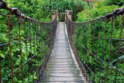 Dimex Footbridge Fototapete 375x250cm 5 Bahnen | Yourdecoration.de