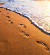 Dimex Footsteps Fototapete 225x250cm 3 Bahnen | Yourdecoration.de