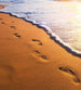 Dimex Footsteps Fototapete 225x250cm 3 Bahnen | Yourdecoration.de