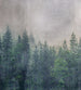 Dimex Forest Abstract Fototapete 225x250cm 3 bahnen | Yourdecoration.de