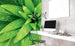 Dimex Fresh Foliage Fototapete 225x250cm 3 Bahnen Sfeer | Yourdecoration.nl