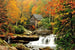 Dimex Grist Mill Fototapete 375x250cm 5 Bahnen | Yourdecoration.de