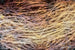 Dimex Hay Abstract I Fototapete 375x250cm 5 bahnen | Yourdecoration.de