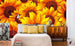 Dimex Helianthus Fototapete 375x250cm 5 Bahnen Sfeer | Yourdecoration.nl