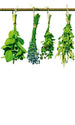 Dimex Herbs Fototapete 150x250cm 2 Bahnen | Yourdecoration.de