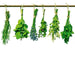 Dimex Herbs Fototapete 225x250cm 3 Bahnen | Yourdecoration.de