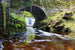 Dimex Ireland Fototapete 375x250cm 5 Bahnen | Yourdecoration.de