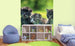 Dimex Kittens Fototapete 225x250cm 3 Bahnen Sfeer | Yourdecoration.nl