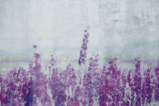 Dimex Lavender Abstract Fototapete 375x250cm 5 bahnen | Yourdecoration.de