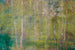 Dimex Leaves Abstract Fototapete 375x250cm 5 bahnen | Yourdecoration.de