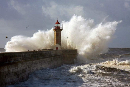 Dimex Lighthouse Fototapete 375x250cm 5 Bahnen | Yourdecoration.de