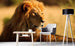 Dimex Lion Fototapete 375x250cm 5 Bahnen Sfeer | Yourdecoration.nl