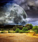 Dimex Moon Fototapete 225x250cm 3 Bahnen | Yourdecoration.de