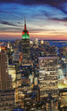 Dimex New York Skyscrapers Fototapete 150x250cm 2 Bahnen | Yourdecoration.de