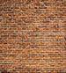 Dimex Old Brick Fototapete 225x250cm 3 Bahnen | Yourdecoration.de