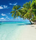 Dimex Paradise Beach Fototapete 225x250cm 3 Bahnen | Yourdecoration.de