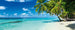 Dimex Paradise Beach Fototapete 375x150cm 5 Bahnen | Yourdecoration.de