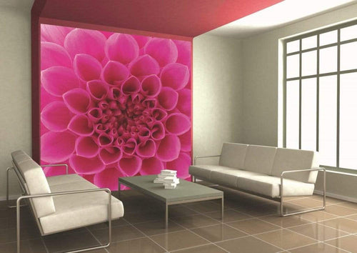 Dimex Pink Dahlia Fototapete 225x250cm 3 Bahnen Sfeer | Yourdecoration.de