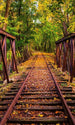 Dimex Railroad Fototapete 150x250cm 2 Bahnen | Yourdecoration.de