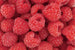 Dimex Raspberry Fototapete 375x250cm 5 Bahnen | Yourdecoration.de