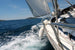 Dimex Sailing Fototapete 375x250cm 5 Bahnen | Yourdecoration.de