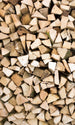 Dimex Timber Logs Fototapete 150x250cm 2 Bahnen | Yourdecoration.de