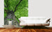 Dimex Treetop Fototapete 225x250cm 3 Bahnen Interieur | Yourdecoration.de