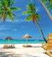 Dimex Tropical Beach Fototapete 225x250cm 3 Bahnen | Yourdecoration.de