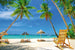 Dimex Tropical Beach Fototapete 375x250cm 5 Bahnen | Yourdecoration.de