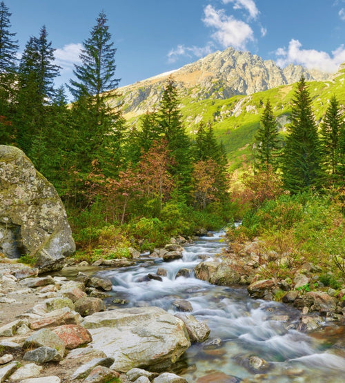 Dimex Valley Fototapete 225x250cm 3 Bahnen | Yourdecoration.de