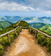 Dimex Walking Path Fototapete 225x250cm 3 Bahnen | Yourdecoration.de