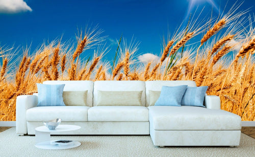 Dimex Wheat Field Fototapete 375x250cm 5 Bahnen Interieur | Yourdecoration.de