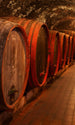 Dimex Wine Barrels Fototapete 150x250cm 2 Bahnen | Yourdecoration.de