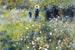 Dimex Woman in Garden Fototapete 375x250cm 5 Bahnen | Yourdecoration.de