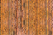 Dimex Wood Plank Fototapete 375x250cm 5 Bahnen | Yourdecoration.de