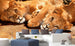 Dimex Young Lions Fototapete 375x250cm 5 Bahnen Interieur | Yourdecoration.de