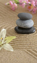 Dimex Zen Garden Fototapete 150x250cm 2 Bahnen | Yourdecoration.de