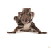 Komar Koala Vlies Fototapete 300X280Cm 6 Teile | Yourdecoration.at