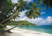 Komar Vlies Fototapete 8 308 Tropical Sea | Yourdecoration.at