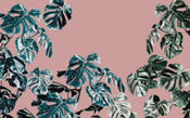 Komar Monstera Rose Vlies Fototapete 400x250cm 4 bahnen | Yourdecoration.de