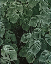 Komar Monstera on Marble Vlies Fototapete 200x250cm 2 bahnen | Yourdecoration.de