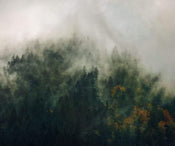 Komar Tales of the Carpathians Vlies Fototapete 300x250cm 3 bahnen | Yourdecoration.de