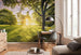 Komar Golden Moment Vlies Fototapete 400x250cm 4 Bahnen Interieur | Yourdecoration.de