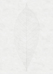 Komar Decent Leaf Vlies Fototapete 200x280cm 2 bahnen | Yourdecoration.de