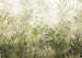 Komar Wilderness Vlies Fototapete 400x280cm 4 bahnen | Yourdecoration.de