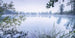 Komar Morning View Vlies Fototapete 200x100cm 1 bahn | Yourdecoration.de