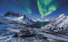 Komar I LOVE Norway Vlies Fototapete 400x250cm 4 bahnen | Yourdecoration.de