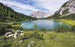 Komar Paradise Lake Vlies Fototapete 400x250cm 4 bahnen | Yourdecoration.de