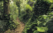 Komar Path of Dreams Vlies Fototapete 400x250cm 4 bahnen | Yourdecoration.de